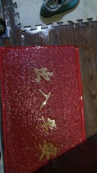 今日莞事爆料网址,聚焦莞城最新动态，揭秘热点事件